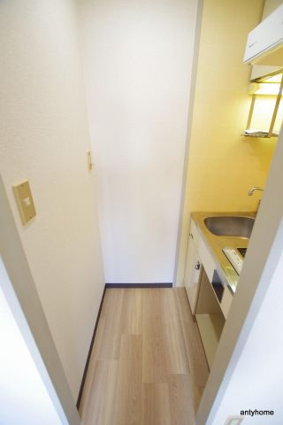 ルイシャトレ中之島　仲介手数料無料のその他