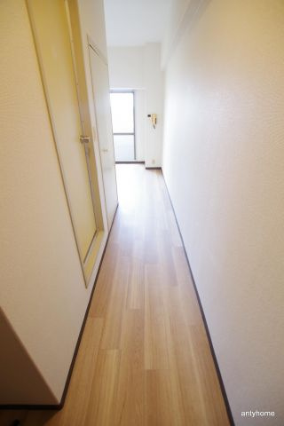 ルイシャトレ中之島　仲介手数料無料のその他