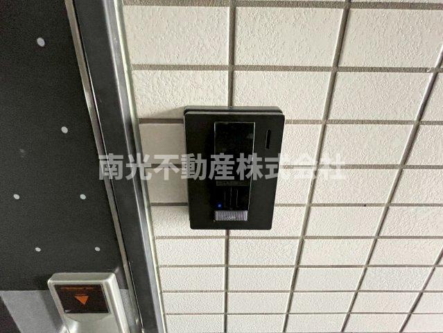 ロフティ岡田のその他