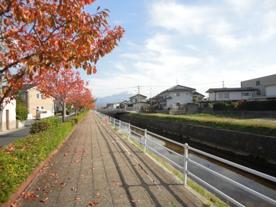 【周辺】 | ヴェルデカサ