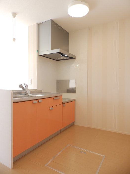 カーサアリエッタA･B･C　B棟のキッチン