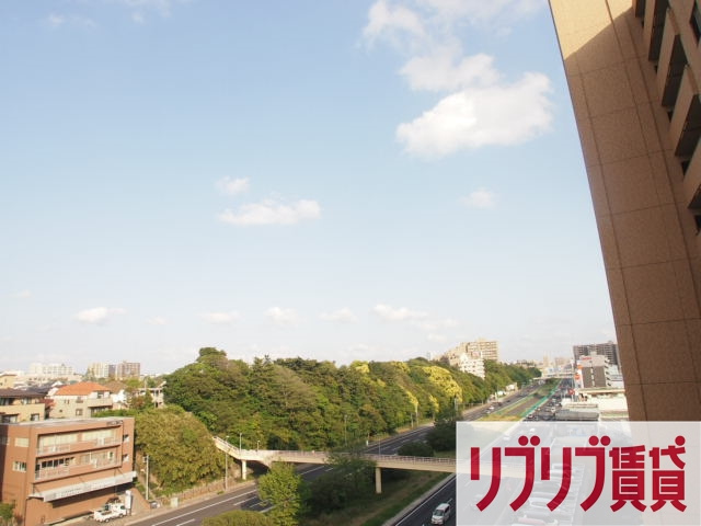 ミリアビタNo.35の展望
