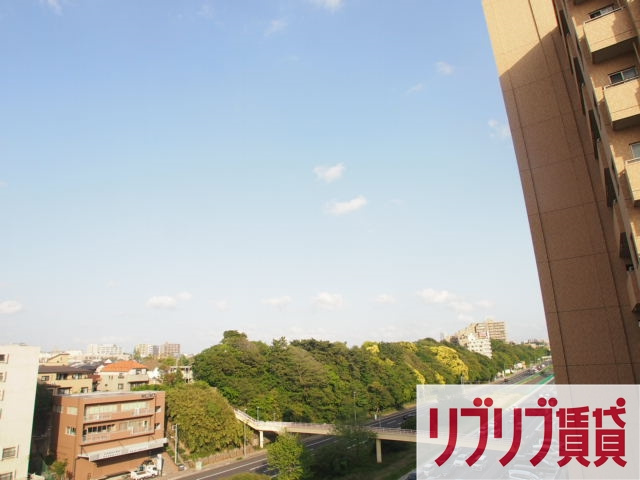 ミリアビタNo35の展望