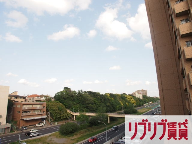 ミリアビタNo35の展望