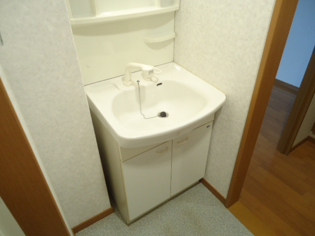 FLAT　N-1の洗面所