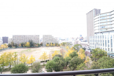 【展望】 | ミモレ堂島