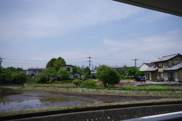 【展望】