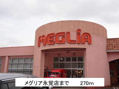 【周辺】 | プリマヴェーラ