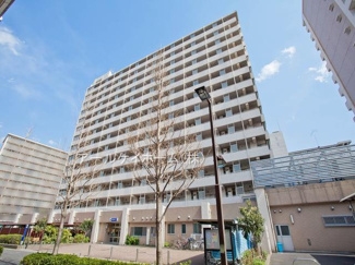 【周辺】 | 小松川第二保育園　距離180m