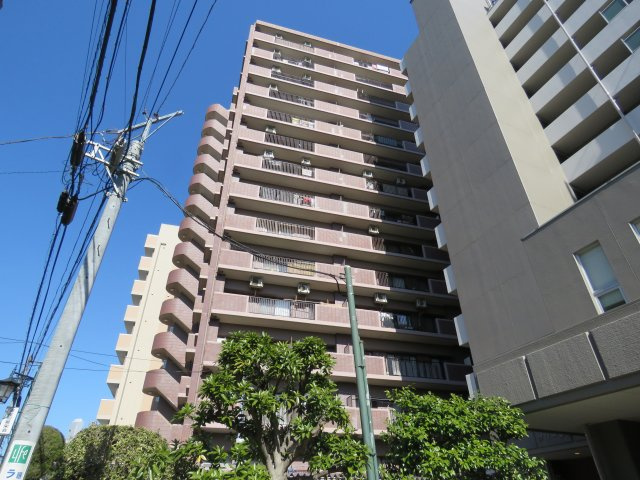 ダイアパレス川越連雀町の外観