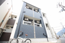 Autumn Forestの画像