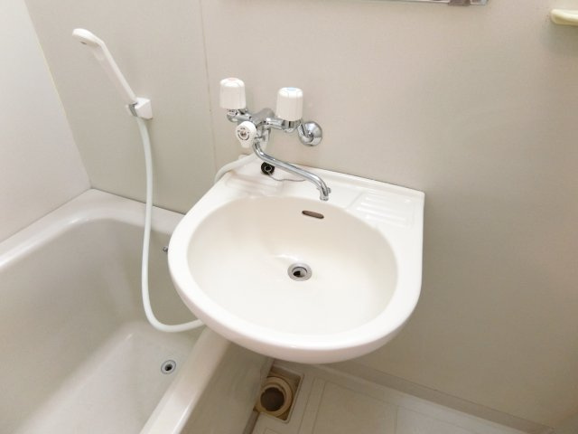 カーサ寺池の洗面所