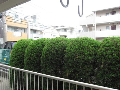 【展望】 | 幸和ハイツ