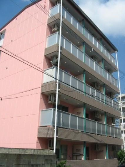 ドムール大楠