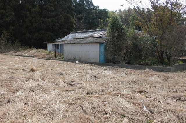 北諸県郡三股町大字蓼池の売地の外観