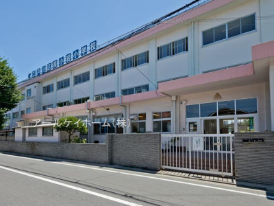 【周辺】 | 南小岩3丁目戸建2号棟 | 江戸川区立南小岩小学校　距離180m