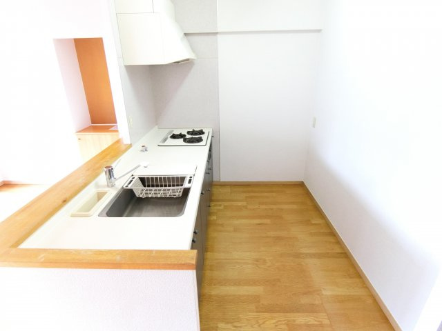 ガーデンシティーコープ金剛東8棟のキッチン