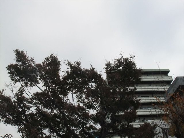 グランルージュ栄IIの展望|グランルージュ栄Ⅱ