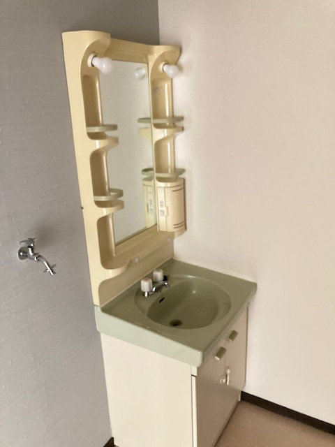 メゾン・ドゥ・セピアⅢの独立洗面台