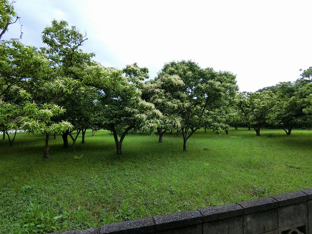 矢島様平屋の展望