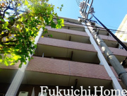 フィールドＫの画像