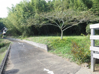 【前面道路含む現地写真】 | 山武市木原　売地