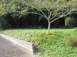 【外観】 | 山武市木原　売地