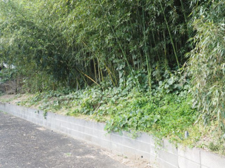 【外観】 | 山武市木原　売地