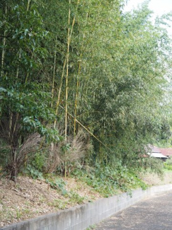 【外観】 | 山武市木原　売地