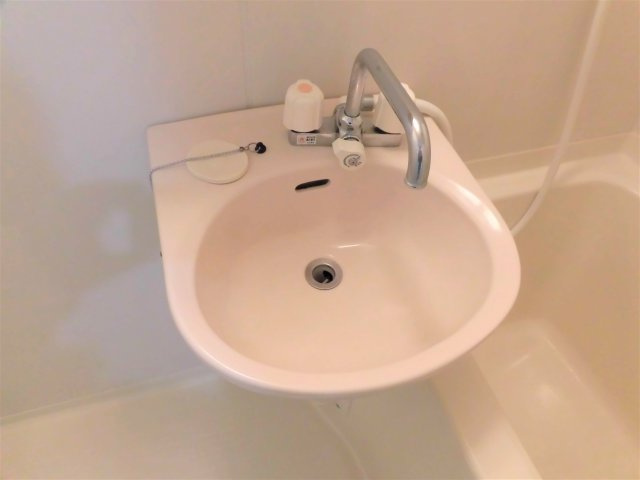 メゾン向日葵の洗面所