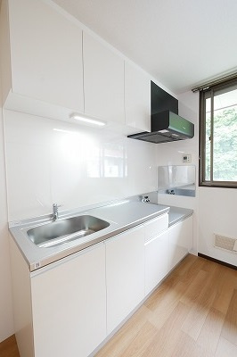 ルビーハイツのキッチン|ルビーハイツ202号室　