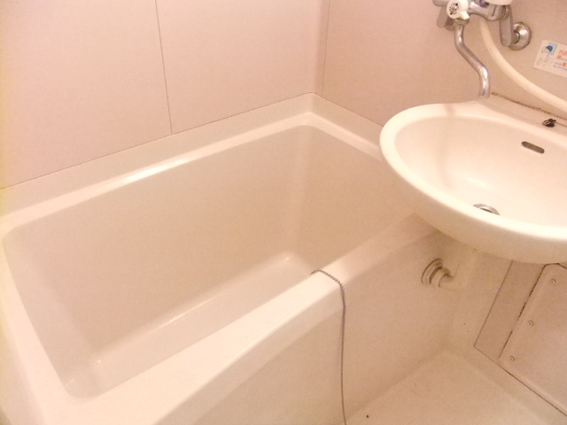 メゾン　ドリュの浴室