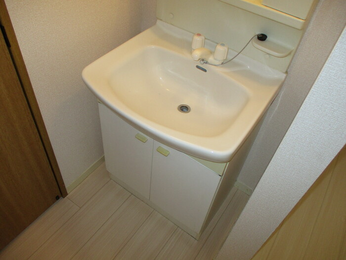 グリーンヒルズＡ棟の洗面所
