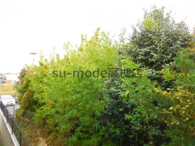 【展望】 | シェモア