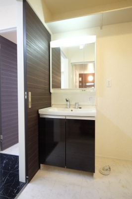 【独立洗面台】 | 【シャーメゾン】ラスリーズＥ棟 | シャワー水洗付洗面台のある洗面所です