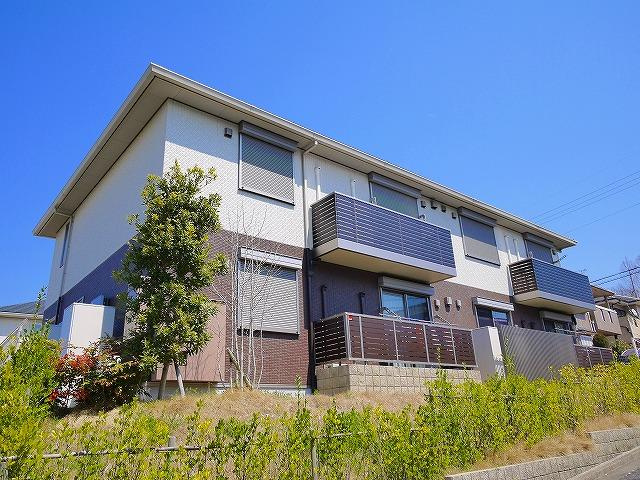 プリムローズB（左京）