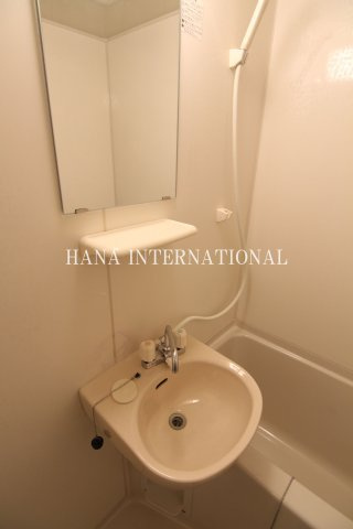 メゾンプレミールの洗面所