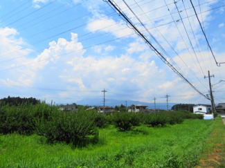 【周辺】 | アレスト・アライ