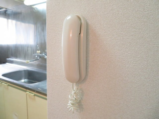 【セキュリティ】 | アレスト・アライ | ドアホン