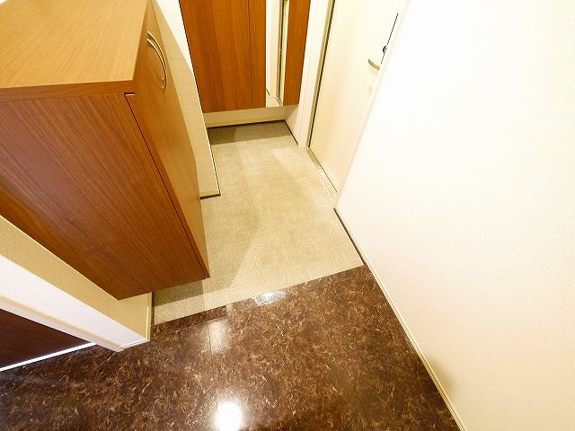 コーポ大安寺Ⅱの玄関|収納もある玄関です