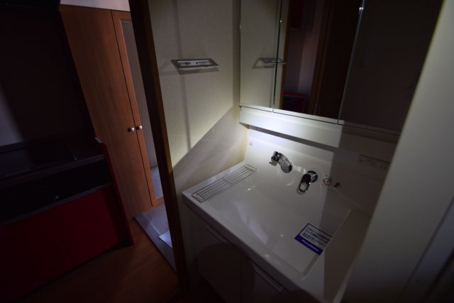 オークス夏見台の洗面所|大型洗面台