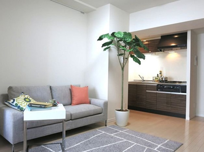  | ドミール青柳