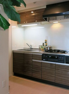  | ドミール青柳