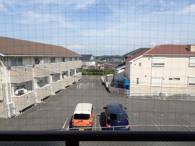 グレイス・コート樹木の展望