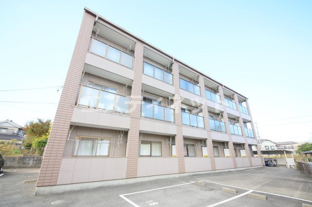 グレイス・コート樹木