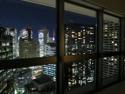 【展望】 | ザ・パークハウス西新宿タワー６０