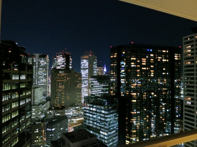 【展望】 | ザ・パークハウス西新宿タワー６０