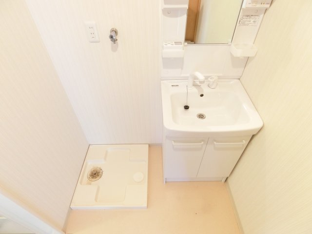 金剛戸建の洗面所