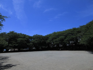 【周辺】 | 小台公園徒歩１分