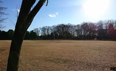 【周辺】 | ＪフラッツＣ | ジョンソンタウンのそばには広大な敷地が広がる富士見公園があります。/ＪフラッツＣ